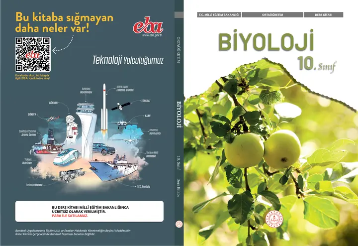2026-2027 MEB Biyoloji Ders Kitabı Cevapları (10. Sınıf)