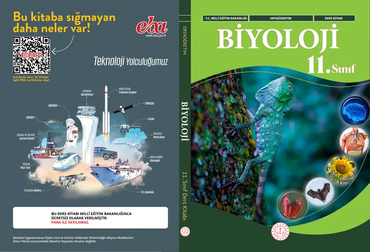 2026-2027 MEB Biyoloji Ders Kitabı Cevapları (11. Sınıf)