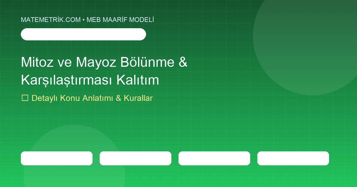 10. Sınıf Biyoloji Mitoz ve Mayoz Bölünme Karşılaştırması & Kalıtım Konu Anlatımı, 20 Soruluk Test ve MEB Çözümleri
