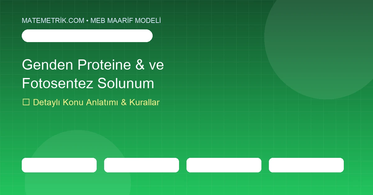 12. Sınıf Biyoloji Genden Proteine & Fotosentez ve Solunum Konu Anlatımı, 20 Soruluk Test ve MEB Çözümleri