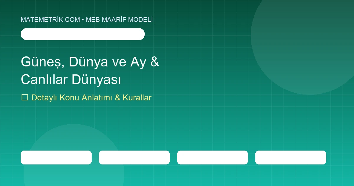 5. Sınıf Fen Bilimleri Güneş, Dünya ve Ay & Canlılar Dünyası Konu Anlatımı, 20 Soruluk Test ve MEB Çözümleri
