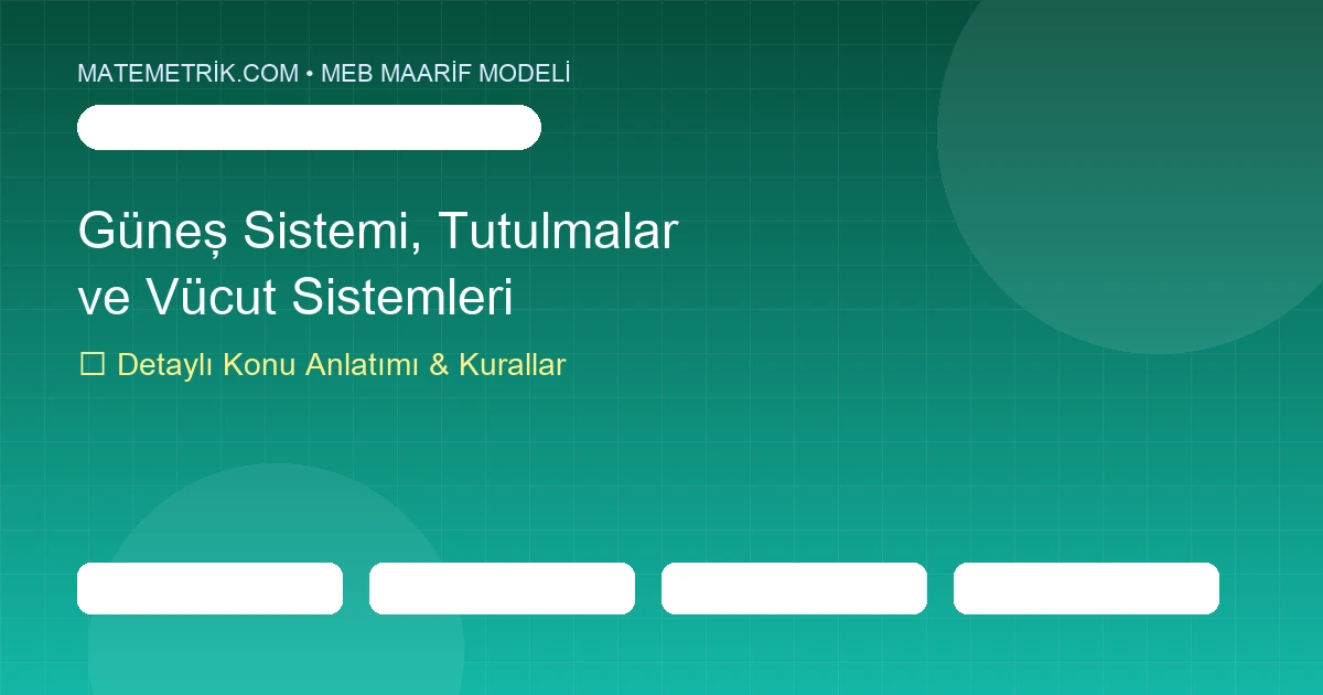 6. Sınıf Fen Bilimleri Güneş Sistemi, Tutulmalar ve Vücut Sistemleri Konu Anlatımı, 20 Soruluk Test ve MEB Çözümleri