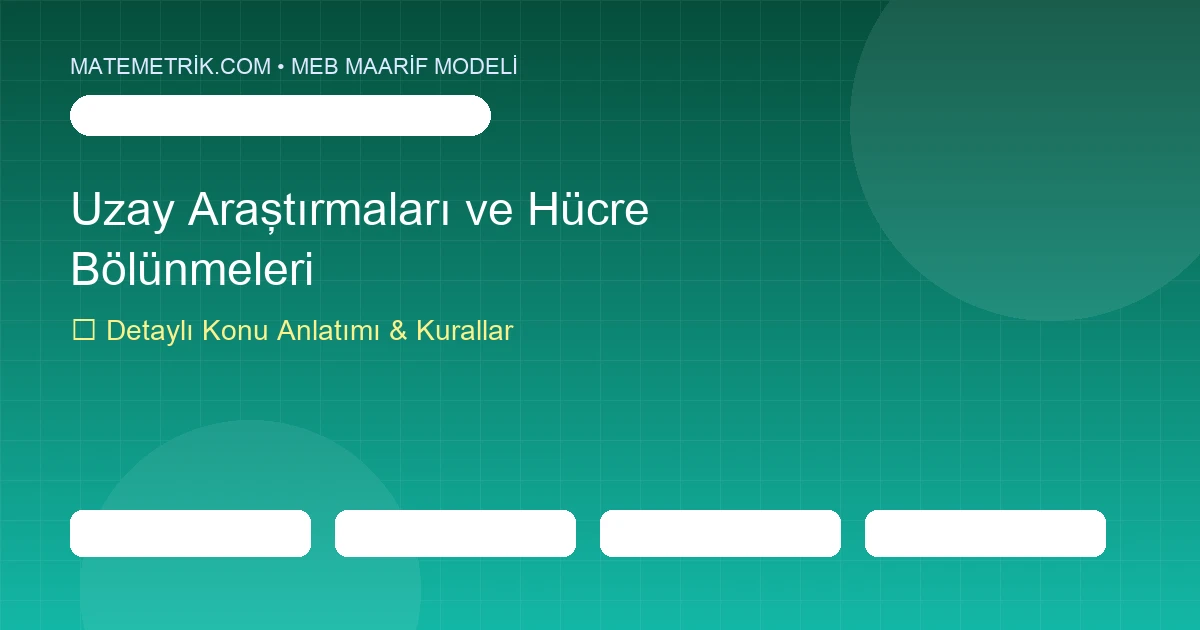 7. Sınıf Fen Bilimleri Uzay Araştırmaları ve Hücre Bölünmeleri Konu Anlatımı, 20 Soruluk Test ve MEB Çözümleri