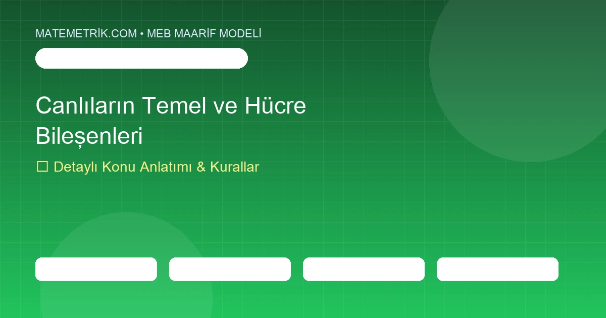 9. Sınıf Biyoloji Canlıların Temel Bileşenleri ve Hücre Konu Anlatımı, 20 Soruluk Test ve MEB Çözümleri